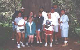 lpgroups.jpg (11339 bytes)